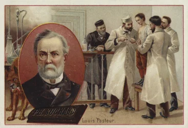 Louis Pasteur, químico y microbiólogo francés